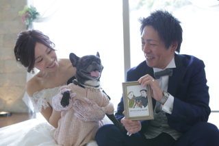 ペット撮影の魅力!!
