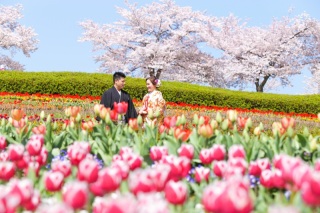 早割でお得に♪桜ロケキャンペーン