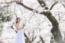 桜ロケーション♪