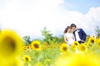 ♡8月♡ブライダルフォトフェア開催中