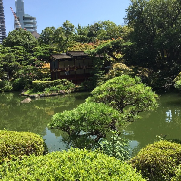 梅雨直前