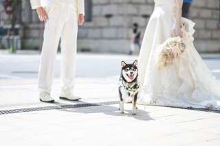 愛犬と一緒に♡