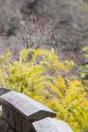 【お花】と一緒に‎✿ ‎