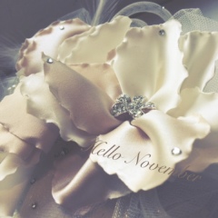 11月の結婚は&hellip;