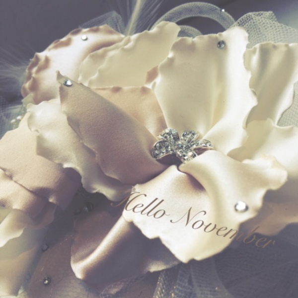 11月の結婚は…
