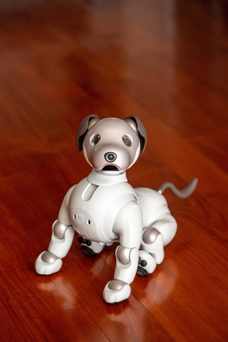 【クリエーターブログ】アイドルのaichan　エンターテイナー記念