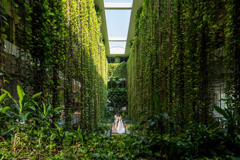 スタジオムーンおすすめ人気オプションのご案内【データ早期仕上げ】