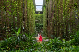 ムーンビーチプレミアムフォト2月まで特別料金【ドローン半額＆ガーデン館内撮影付】