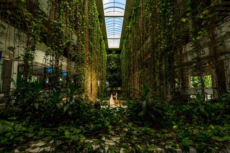 お客様の撮影レポート【ムーンビーチプレミアム アルバムパッケージ】★結婚記念