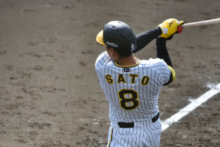 アフターフォトウエディング　プロ野球のキャンプ遺影の楽しみ方　①