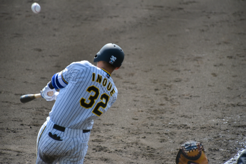 アフターフォトウエディング プロ野球のキャンプ遺影の楽しみ方 ②