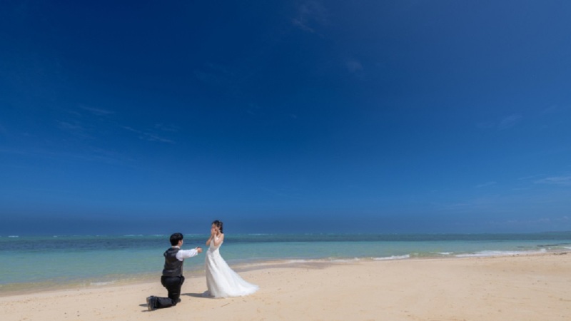 スタジオムーン　おトクな３冊セット【アルバムバリューパッケージ】