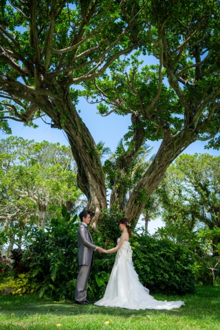 「衣裳のお話」（衣裳追加代金なしについて）