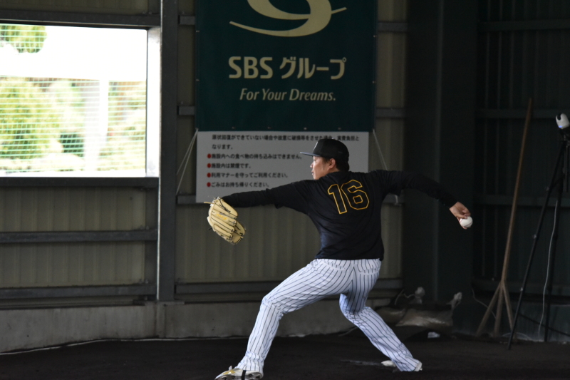 「プロ野球 沖縄キャンプのお話」