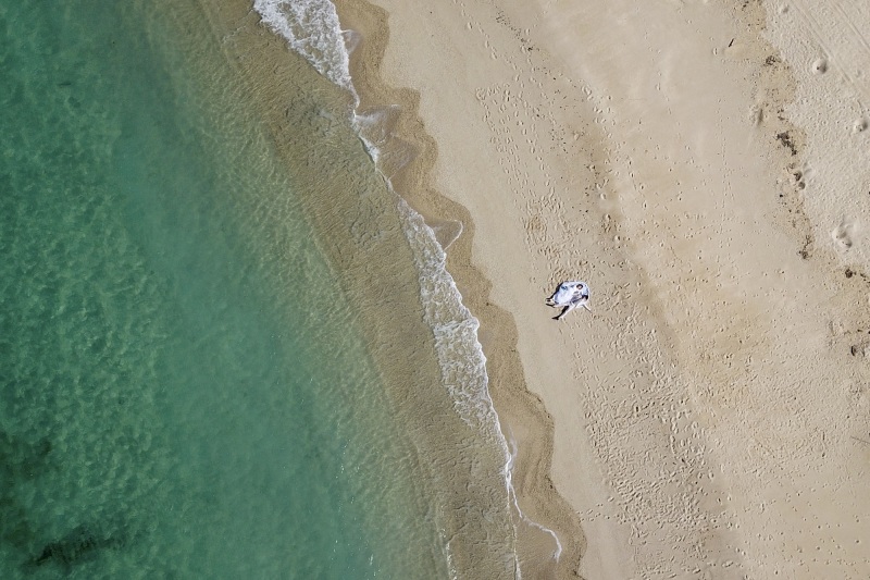 お客様の撮影レポート【おんなそんビーチフォトアルバムパッケージ】★ドローン撮影