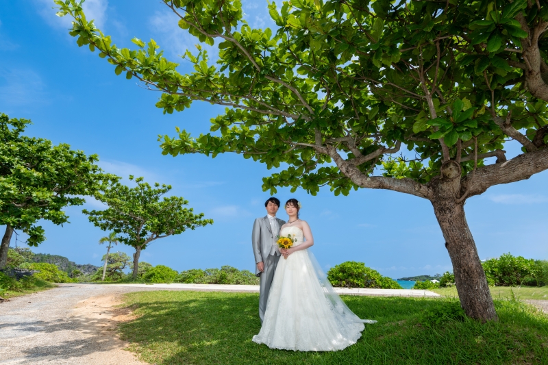 2025年ありがとうございました「2025年の撮影を振り返って」