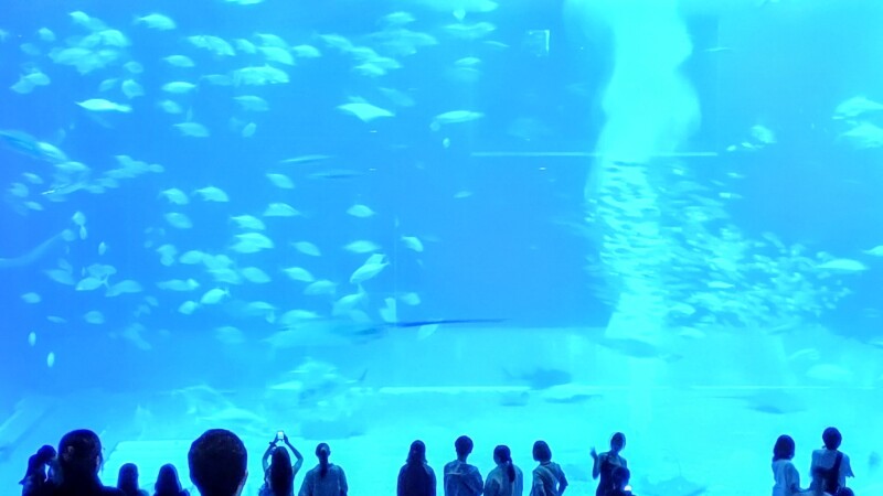 【「フォトウエディングの後、沖縄滞在中のスマホでの写真撮影のコツ」のお話】