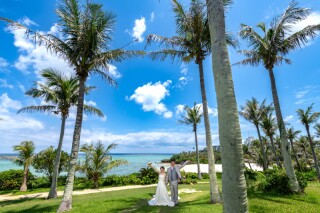 スタジオムーン　おトクなアルバム３冊セット【アルバムバリューパッケージ】