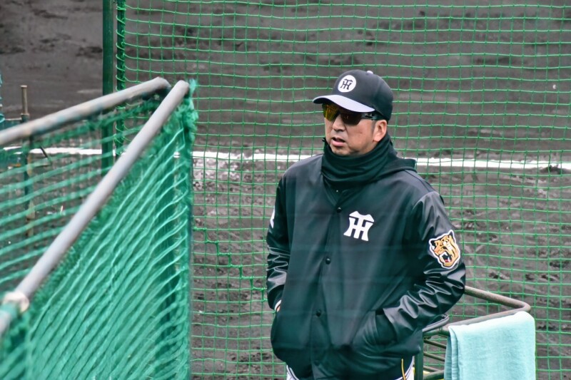 「プロ野球 沖縄キャンプのお話」