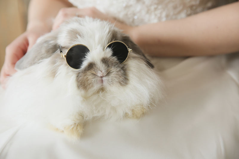 うさぎ年ですね！！