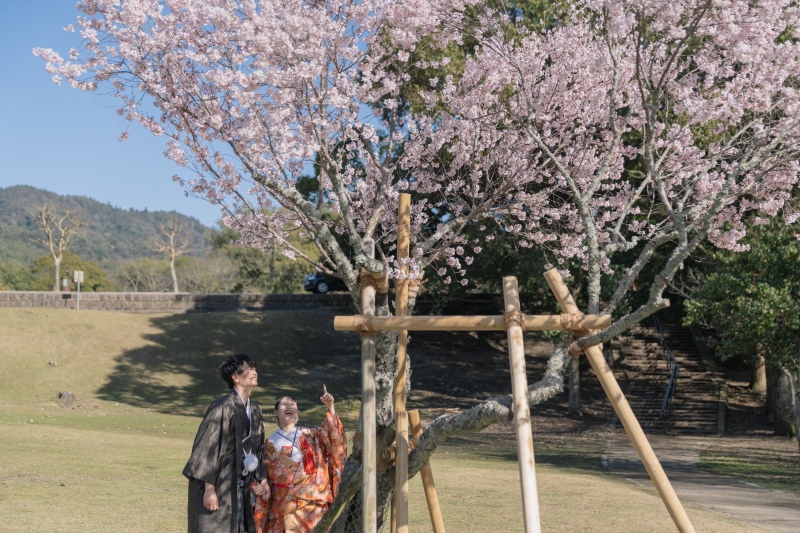 奈良　桜ロケーションおすすめスポット