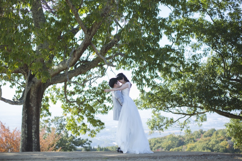 緑と赤の若草山
