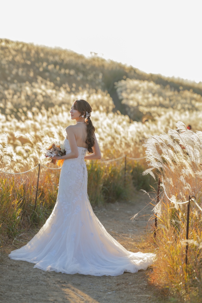 秋の生石高原ロケ