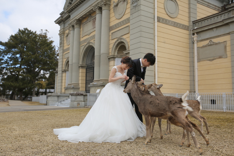 鹿と撮れるロケ地のご紹介♪