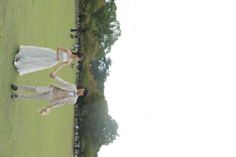 春日野園地で鹿たちと撮影♪