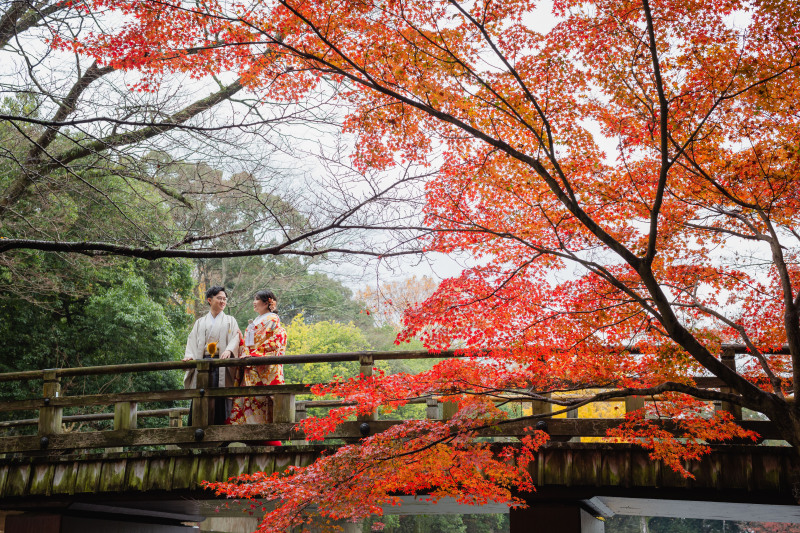 奈良公園　紅葉ロケーション撮影