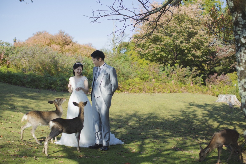 緑と赤の若草山