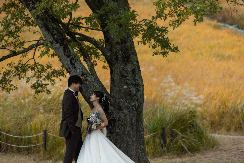 自然あふれる曽爾高原ロケーション