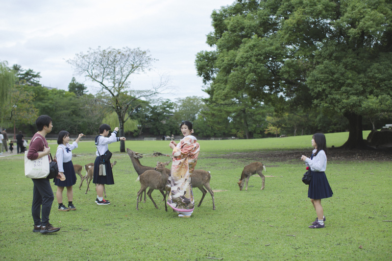 奈良を感じる浮見堂撮影♪