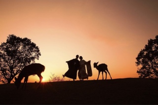 紅葉ロケーションの時期が近づいてきました