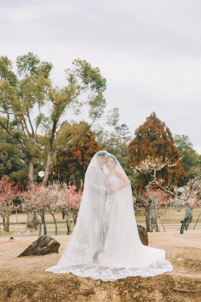 鹿さんたちに囲まれて、ゆるっと前撮りしてきました