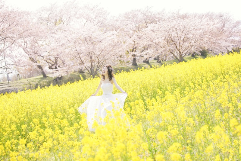 桜ロケーションスポットのご紹介です