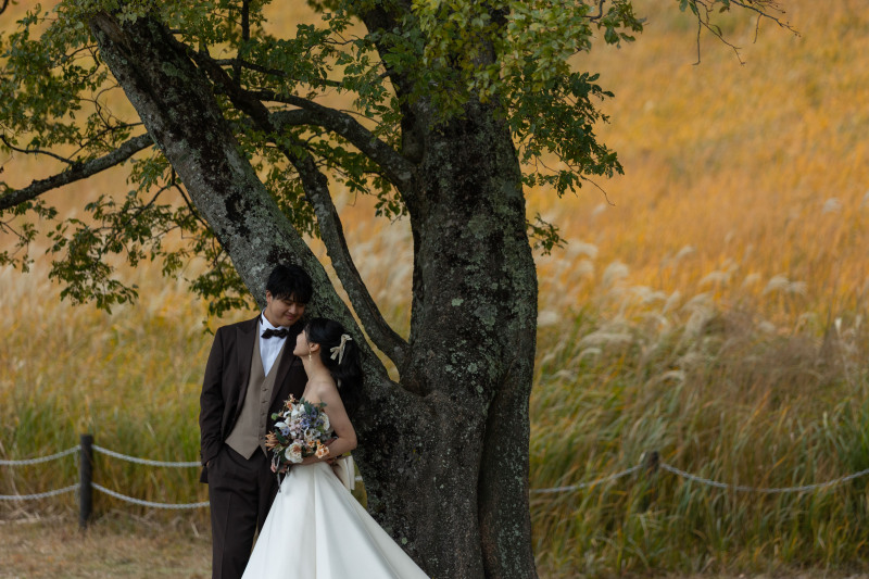 自然あふれる曽爾高原ロケーション
