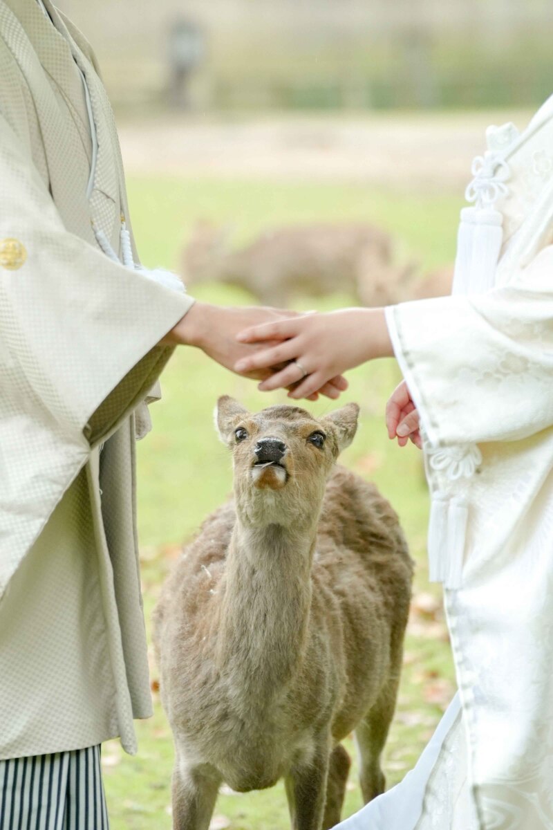 和装ロケーション撮影