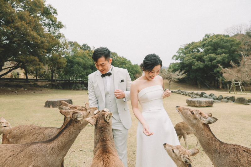 鹿さんたちに囲まれて、ゆるっと前撮りしてきました