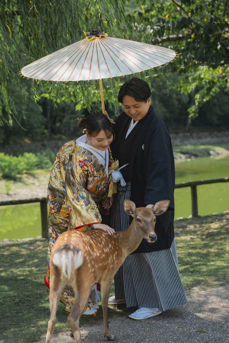 奈良公園 鹿ちゃん撮影!