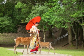 鹿と撮れるロケ地のご紹介♪