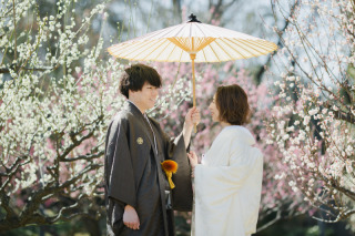 スタッフ一推し!冬の梅ロケーション