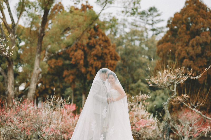 鹿さんたちに囲まれて、ゆるっと前撮りしてきました