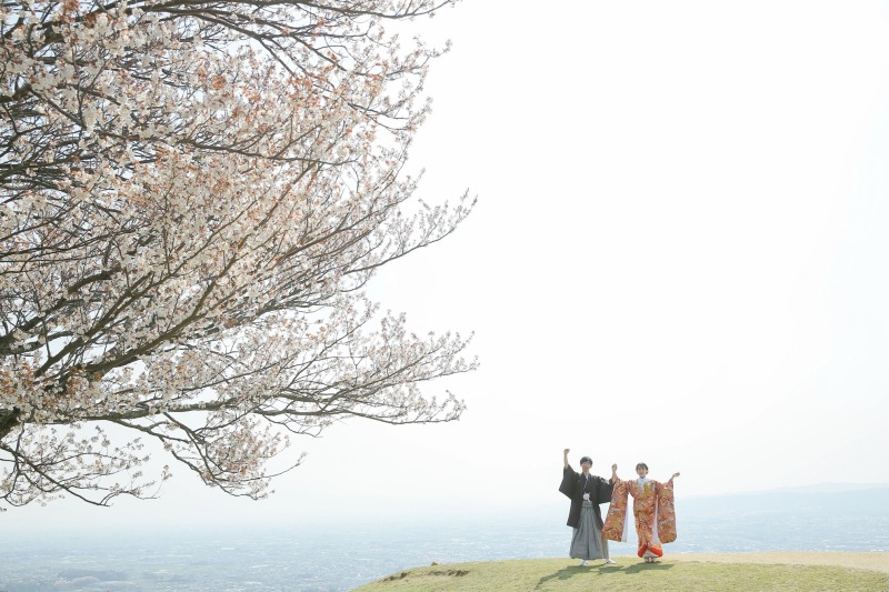 2026年桜ロケーション【人気ロケ地TOP3】