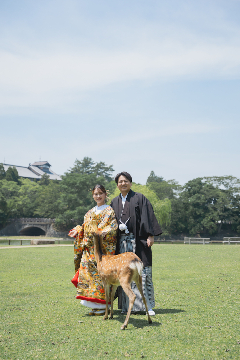 奈良公園 鹿ちゃん撮影!