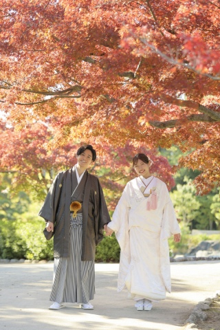 大仙公園　紅葉ロケーション撮影