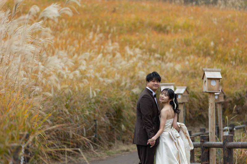 自然あふれる曽爾高原ロケーション