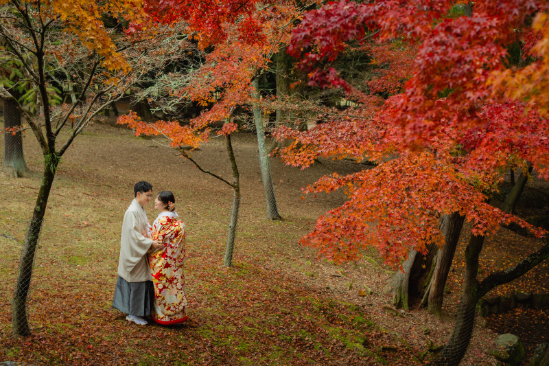 奈良公園　紅葉ロケーション撮影