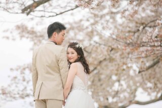 大人 気!!桜ロケーションフォト 予約受付中