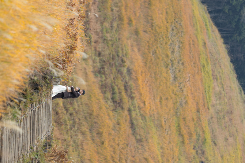自然あふれる曽爾高原ロケーション